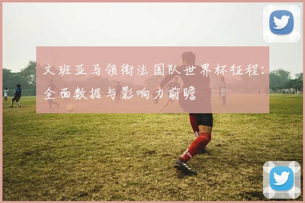 文班亚马领衔法国队世界杯征程：全面数据与影响力前瞻