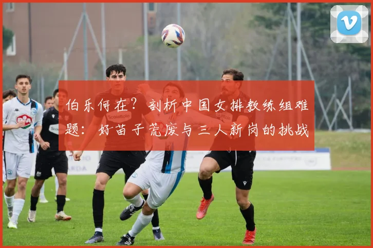 伯乐何在？剖析中国女排教练组难题：好苗子荒废与三人新岗的挑战